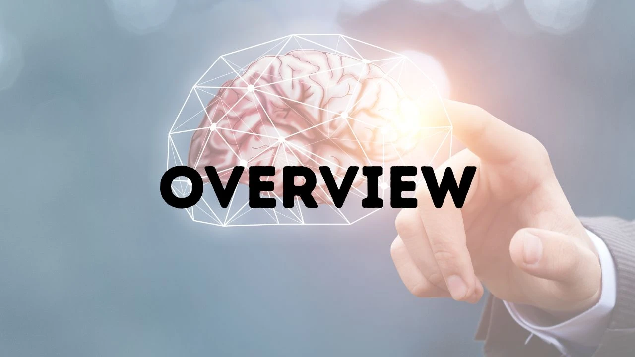 Outline and Objectives lesson poster