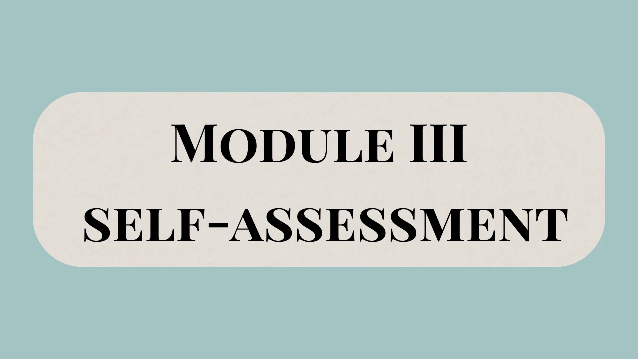 Module III: Self-Assessment • Where are my boundaries now, and where do I want them to be? lesson poster
