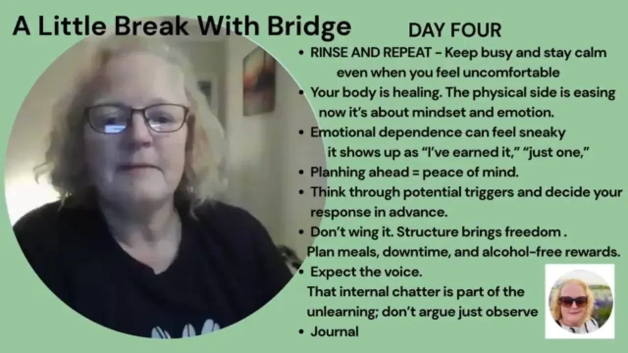 A Little Break with Bridge - DAY FOUR lesson poster