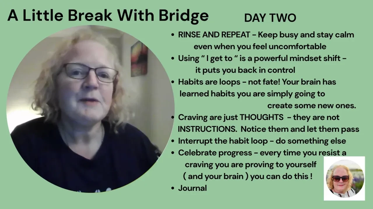 A little Break with Bridge - DAY TWO lesson poster