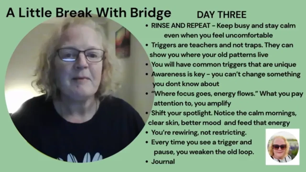 A Little Break with Bridge - DAY THREE lesson poster