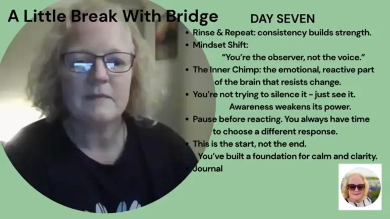 A Little Break with Bridge - DAY SEVEN lesson poster