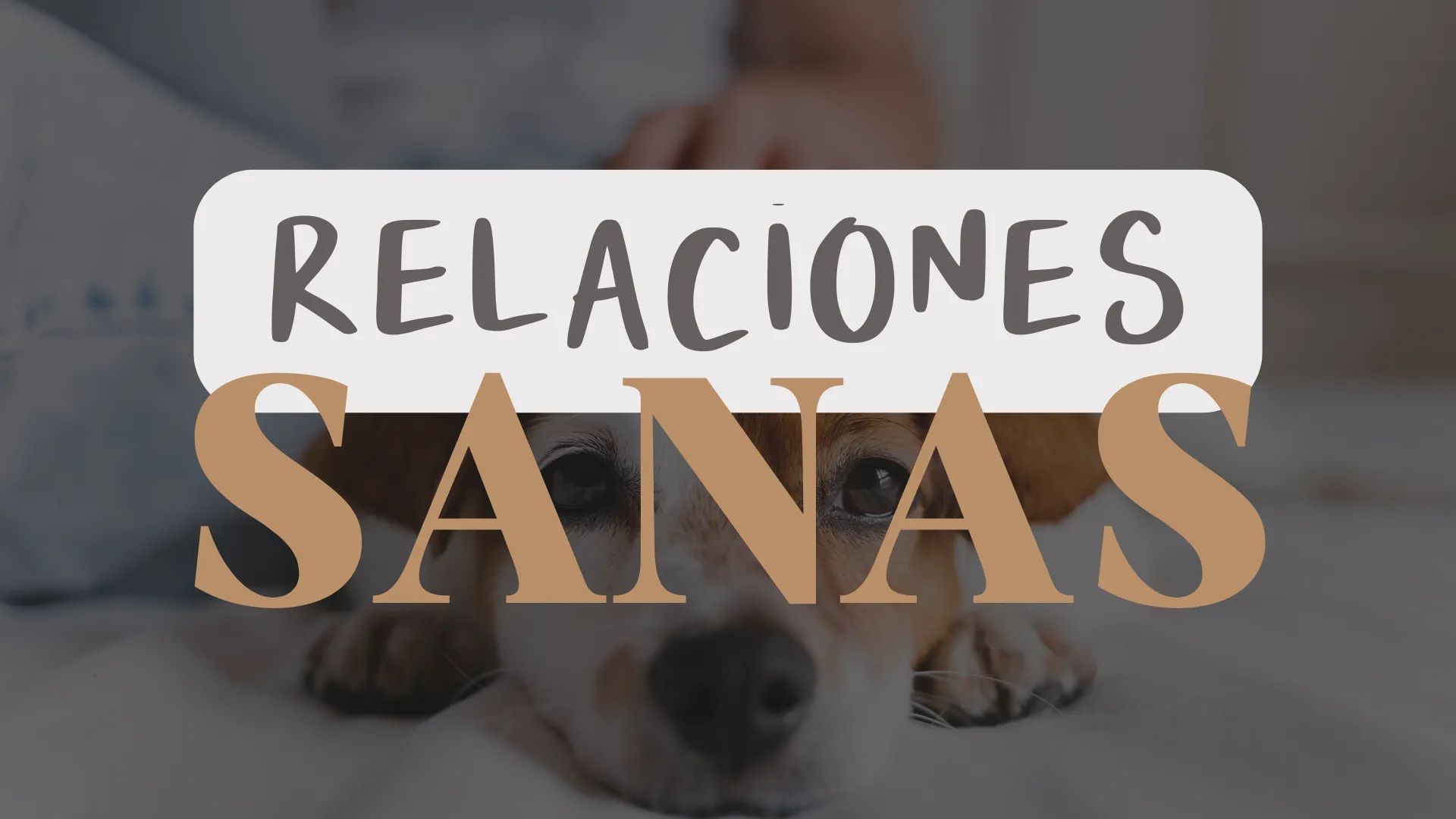Relaciones Sanas