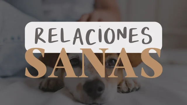 Relaciones Sanas
