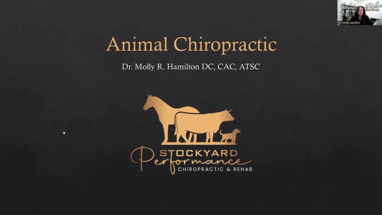Introduction to Animal Chiropractic lesson poster