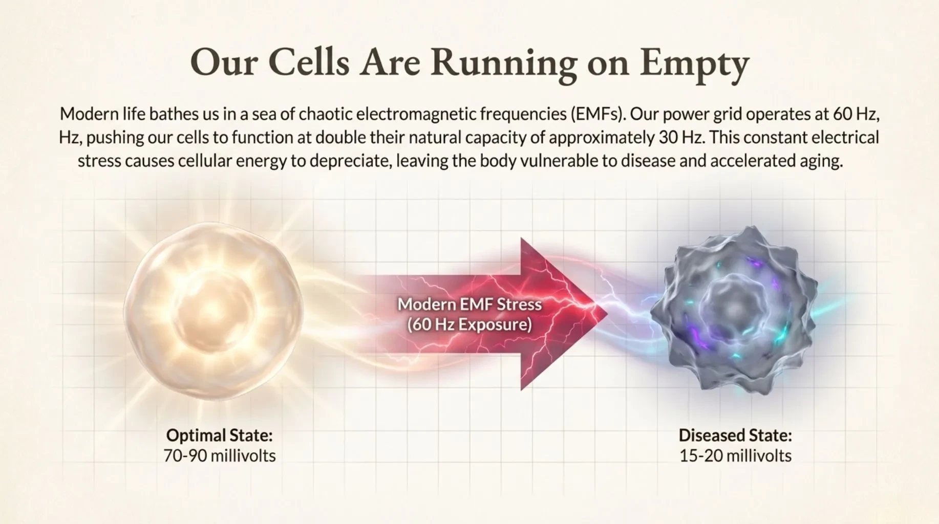 Cell Membrane Potential: The “Battery Voltage” of Life lesson poster
