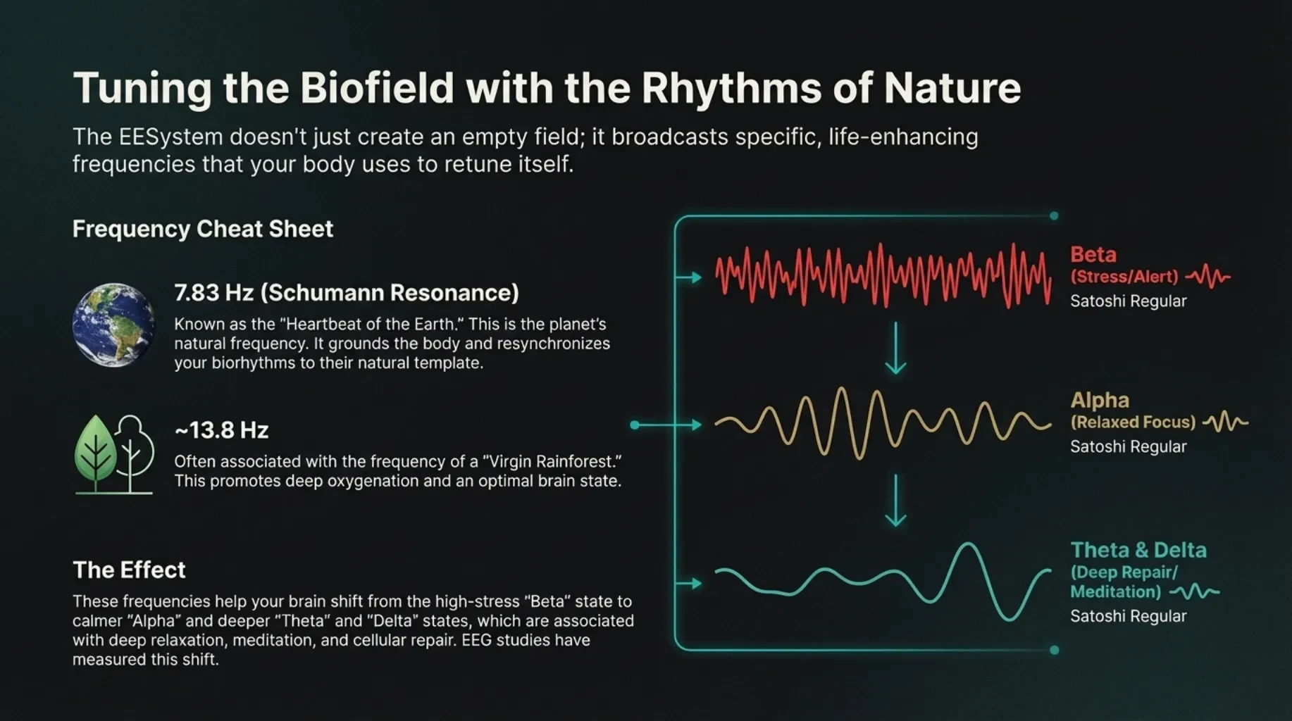Natural Frequencies and the Brain’s Relaxation States lesson poster