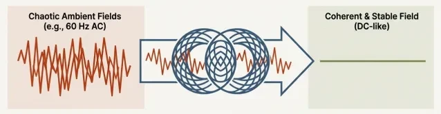 From “Electrical Noise” to Coherence: What the EESystem Claims It Does lesson poster