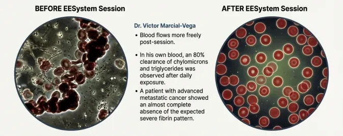 Proof Set 1: High-Resolution Live Blood Microscopy lesson poster