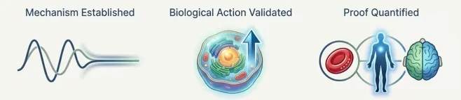Conclusion: What the Course Claims the Evidence Adds Up To lesson poster