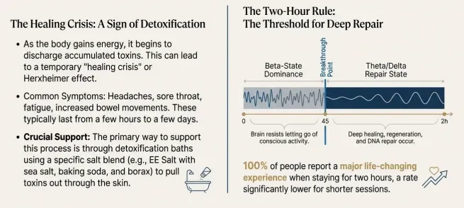 The User Experience: Detoxification & Optimal Protocols lesson poster