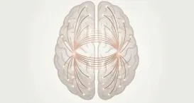 A Coherent Mind Explained: How Reduced “Noise” Can Improve Brain Efficiency lesson poster