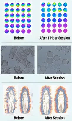 See the Difference: Documented Bio-Energetic Changes lesson poster