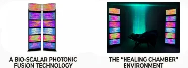 WHAT IS THE ENERGY ENHANCEMENT SYSTEM™? lesson poster