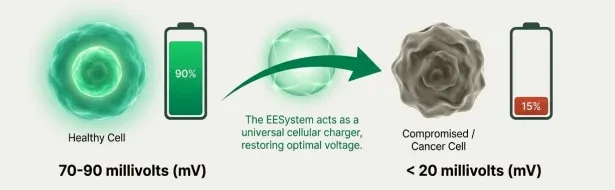 Your Body is a Battery of 100 Trillion Cells lesson poster