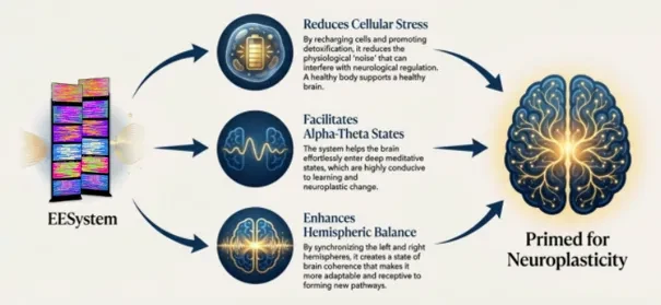 How EESystem Primes the Brain for Neuroplasticity lesson poster