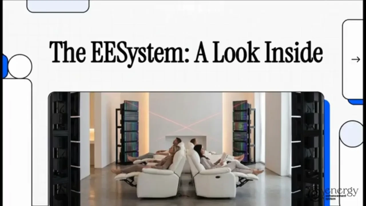 The EESystem: A Look Inside lesson poster