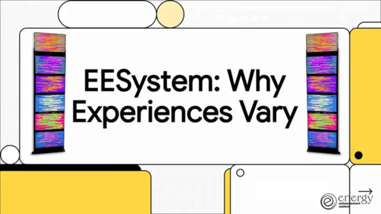 EESystem- Why Experience Vary? lesson poster