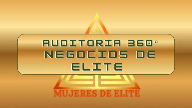 Auditoria 360°