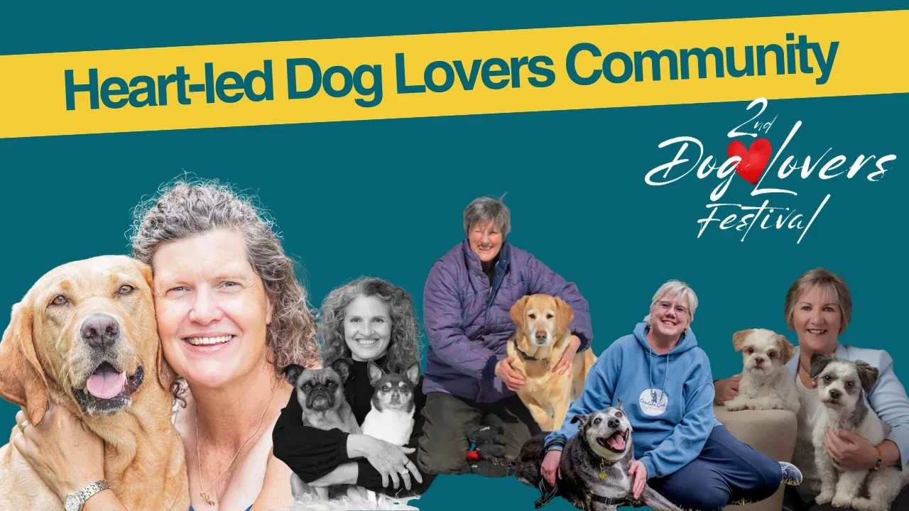 Dog Lovers Festival 2 - March 2026 logo
