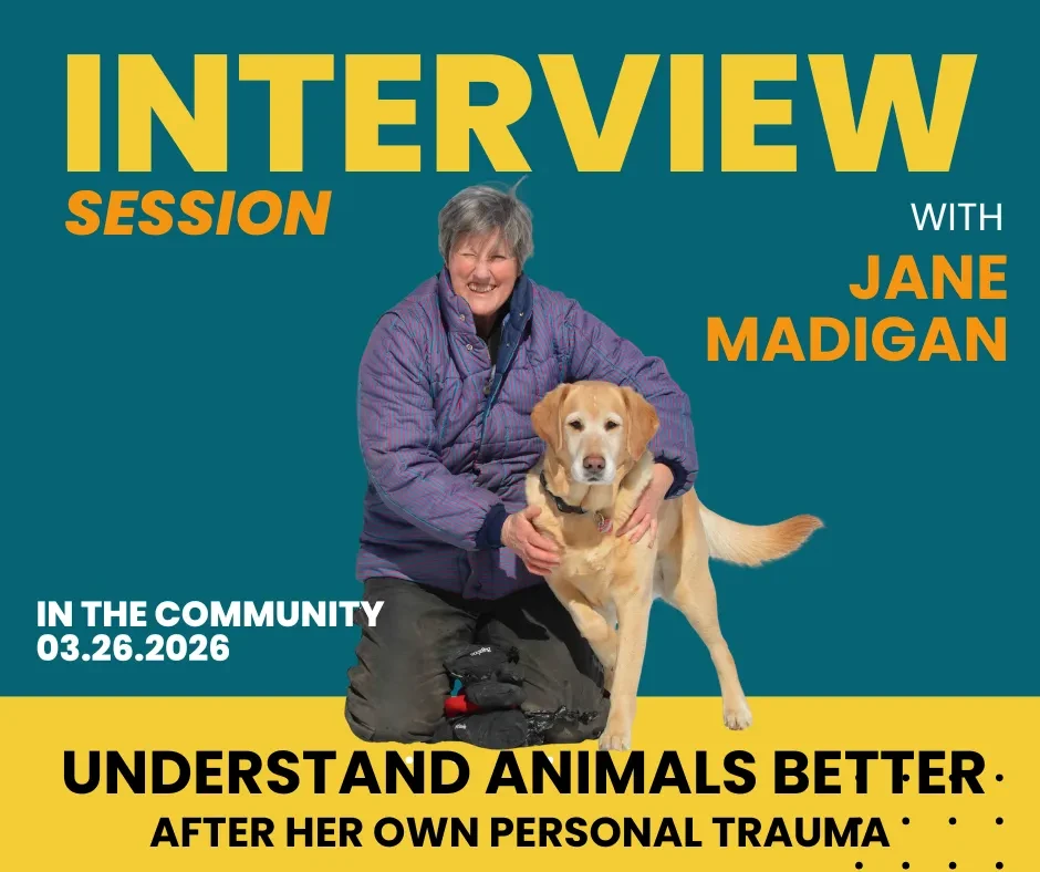 Lesson 13: Interview with Jane Madigan lesson poster