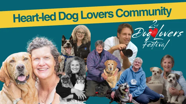 Dog Lovers Festival 2 - March 2026