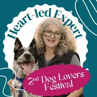 Lesson 12: Dog Enrichment from the inside out Creating Calm, Connection, and Clarity on both sides of the leash - June Collins lesson poster