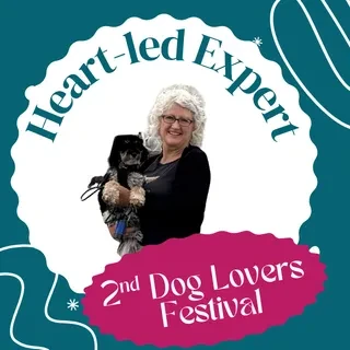 Lesson 8: Travelling with Your Furry Family Members – Valerie Beyer lesson poster