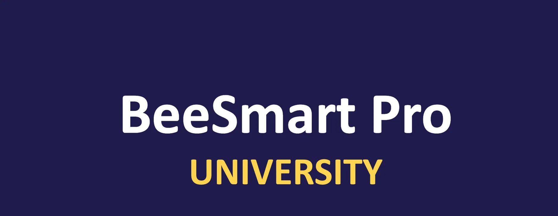Bee Smart University 