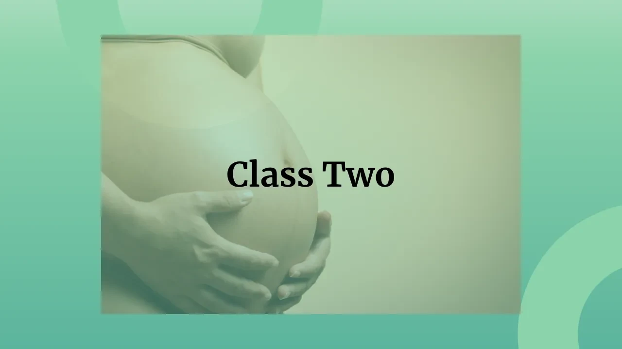 Class 2 lesson poster