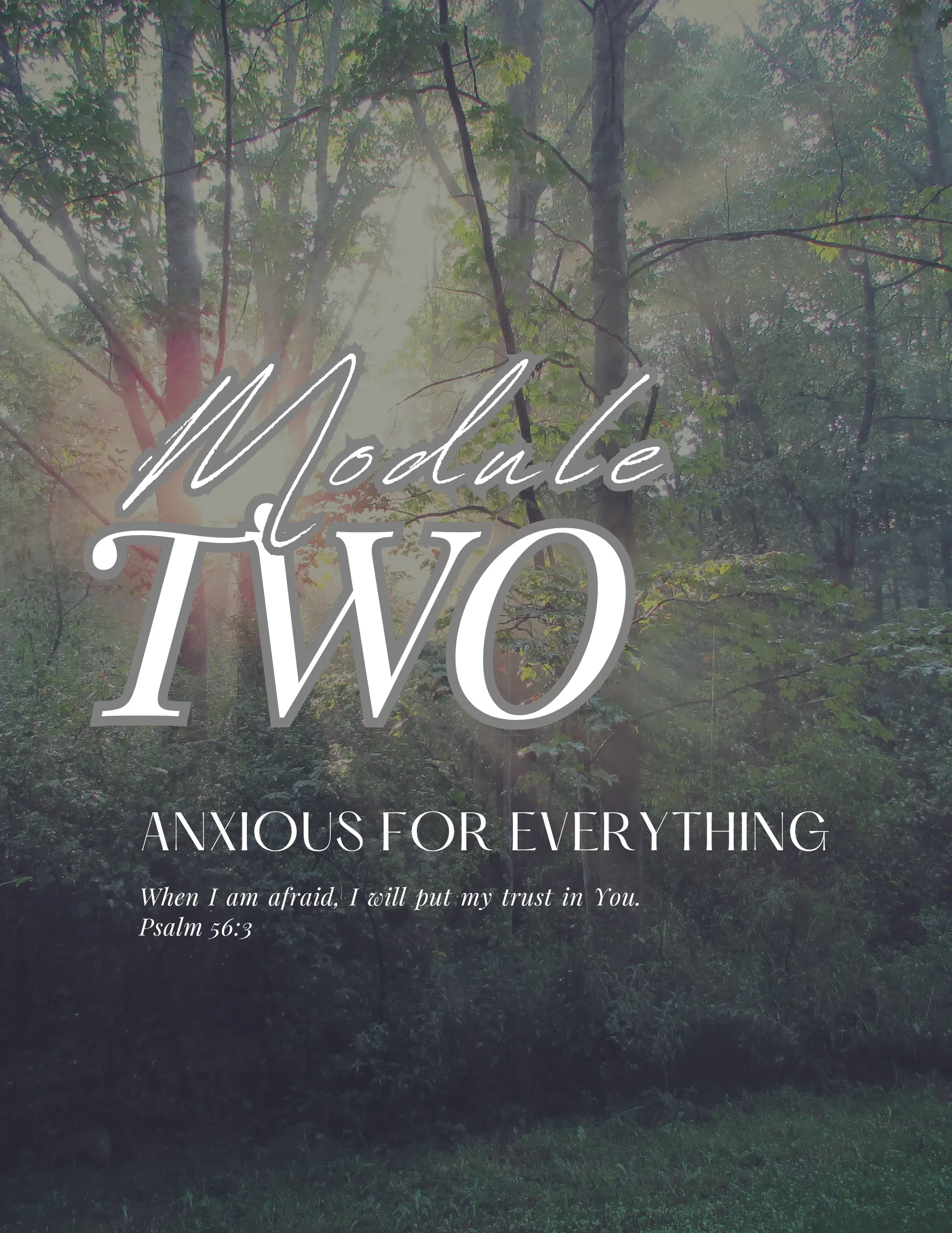 Lesson 2: Anxious for Everything lesson poster