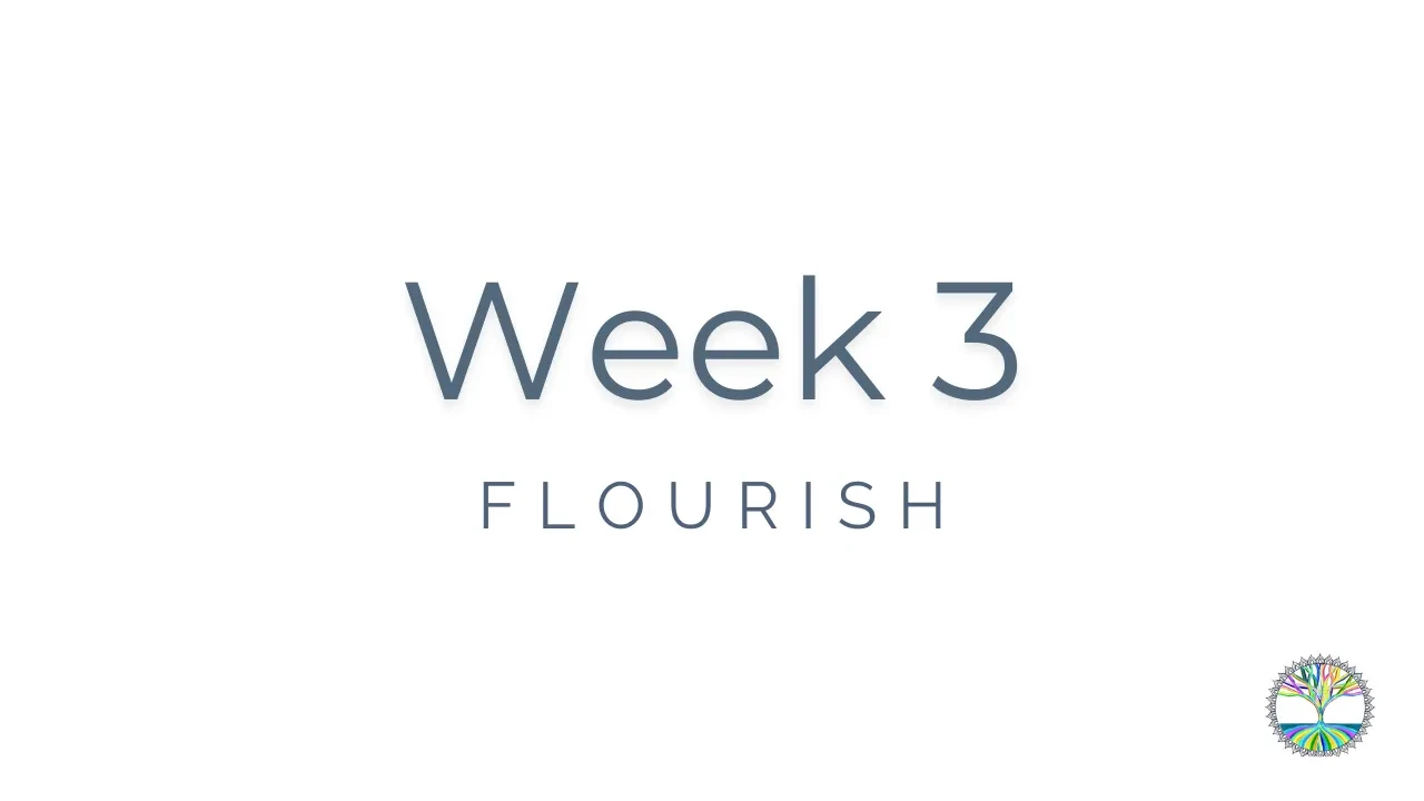 Week 3: Zone of Genius and Email Management lesson poster