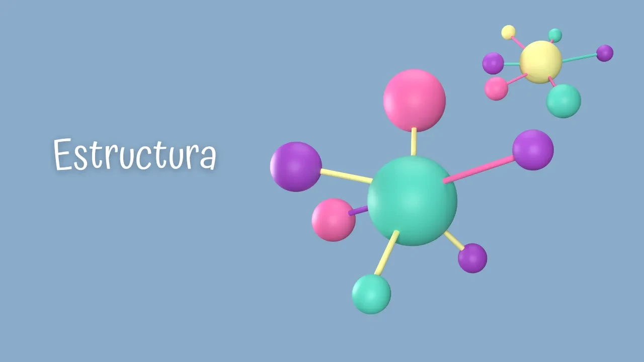 🧬 Estructura lesson poster