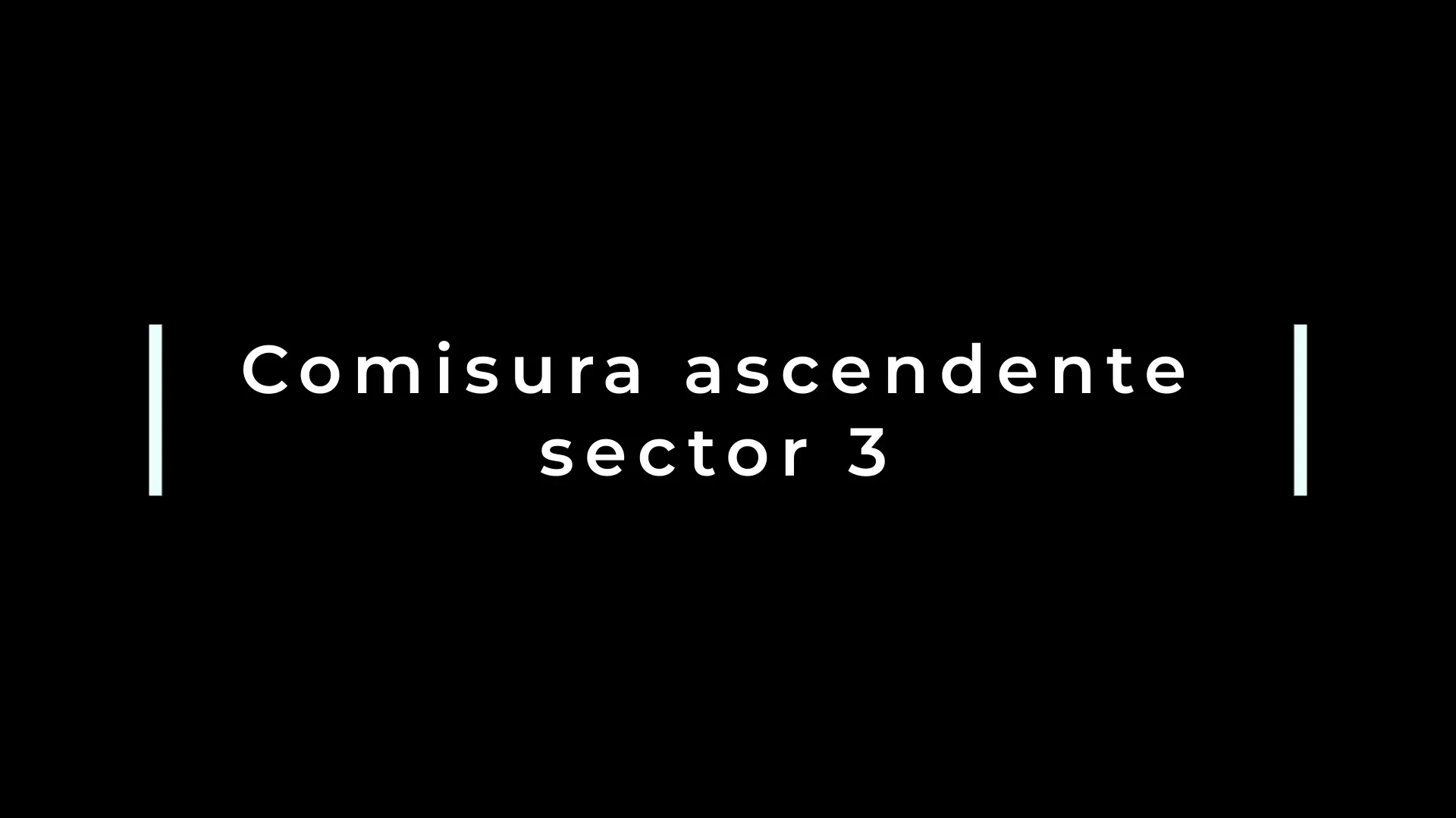 17.-Comisura ascendente sector 3 lesson poster