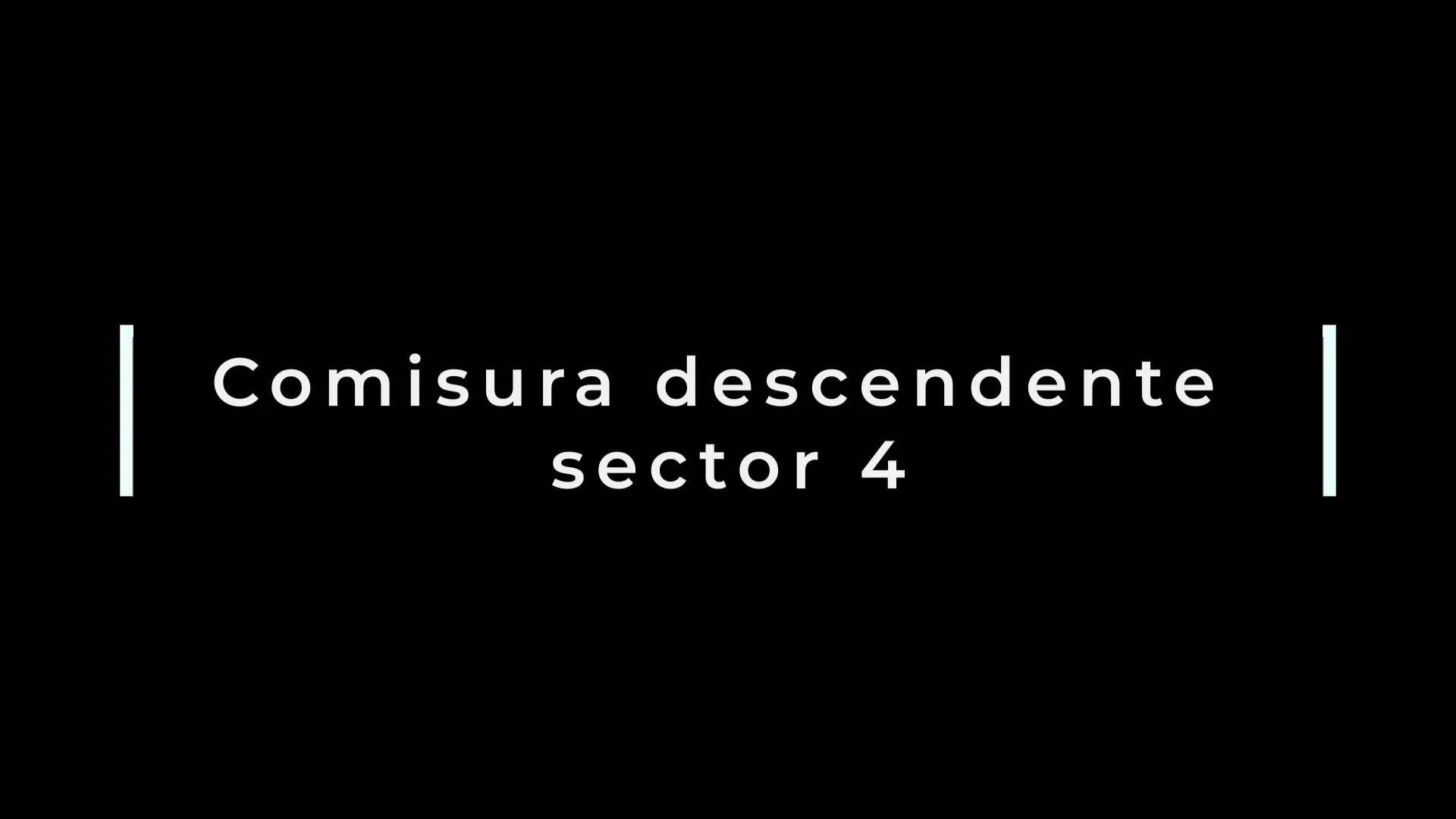 18.-Comisura descendente sector 4 lesson poster