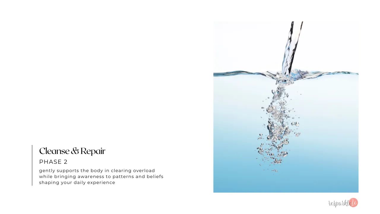 Phase 2: Cleanse & Repair