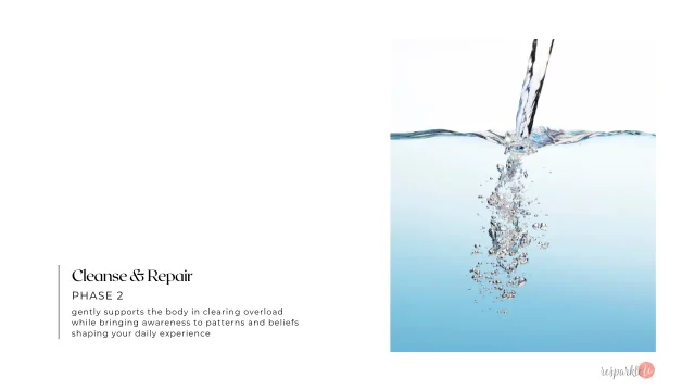 Phase 2: Cleanse & Repair