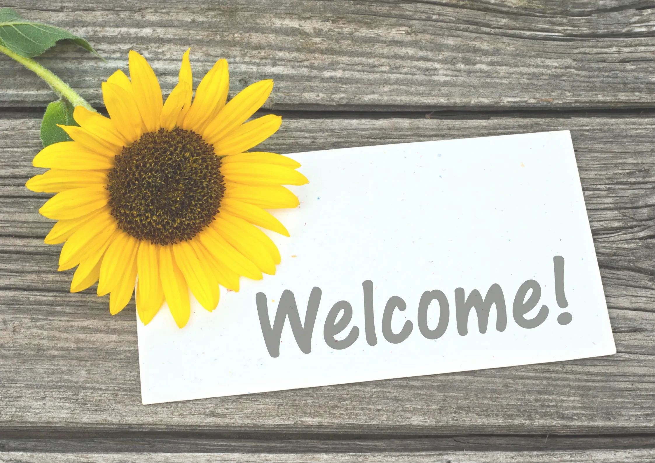 Welcome Aboard! lesson poster