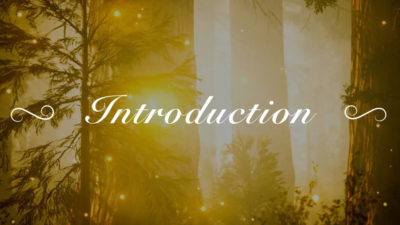 Introduction lesson poster
