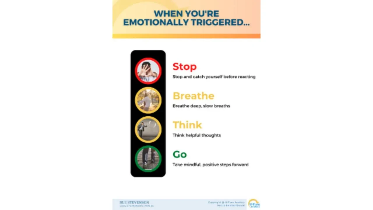 Emotional Regulation (Traffic Lights) - adults lesson poster