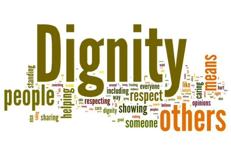 Lesson 1: Defining Dignity lesson poster