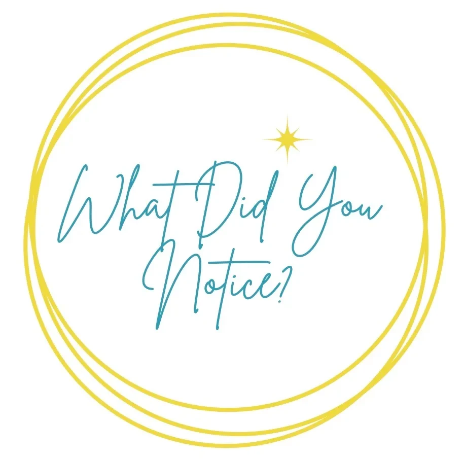 What Did You Notice? lesson poster