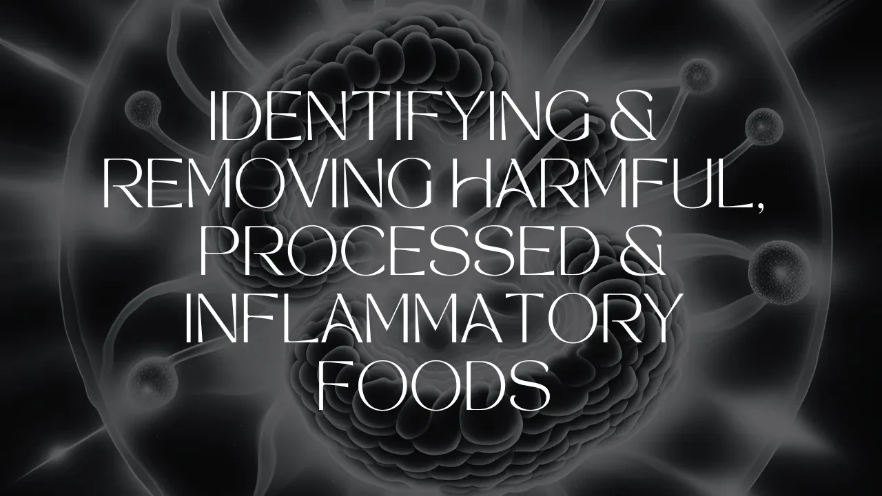 Lesson 2: Identifying & Removing Harmful, Processed & Inflammatory Foods lesson poster
