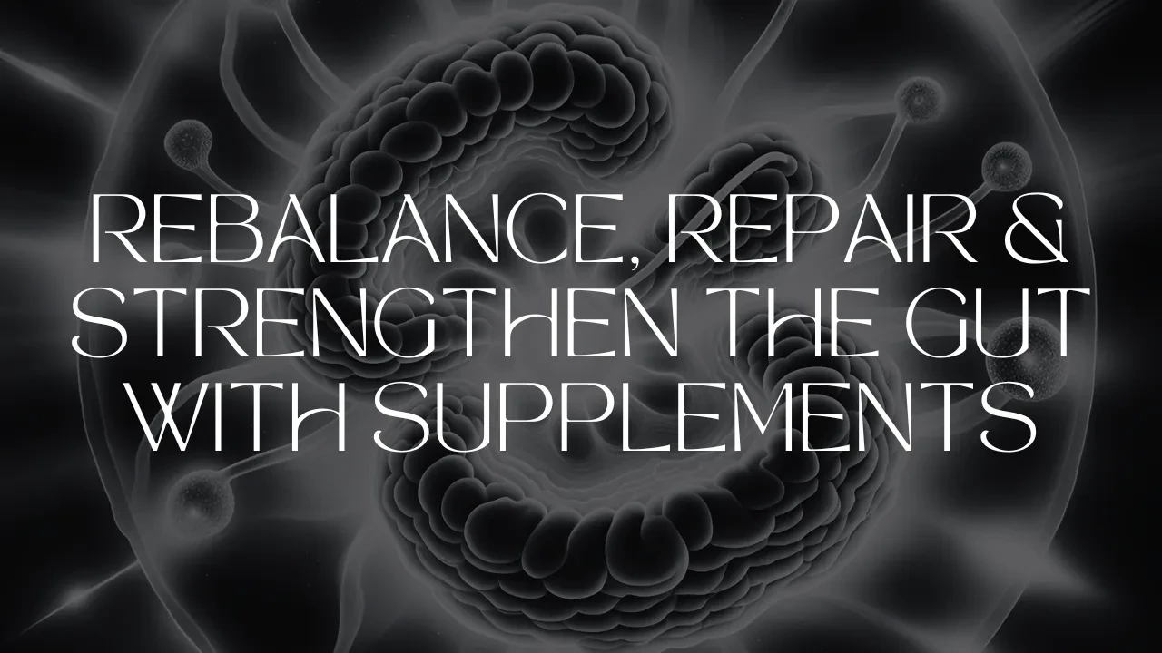 Lesson 6: Rebalance, Repair & Strengthen the Gut with Supplements lesson poster