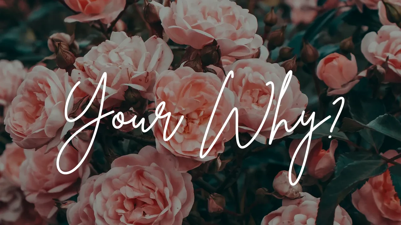 What is your Why + Second BodyLove Task lesson poster