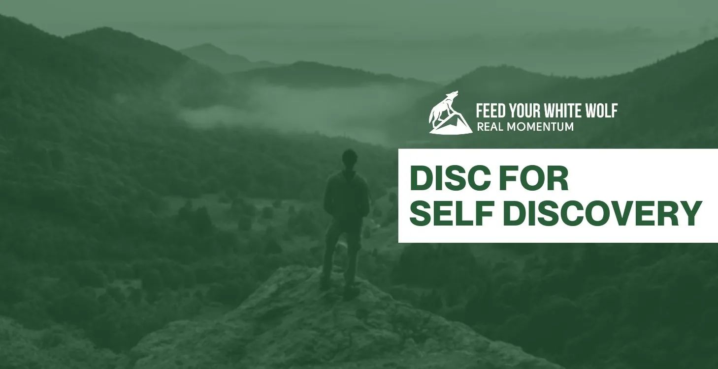 DISC - For Self-Discovery