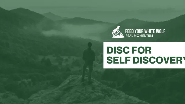 DISC - For Self-Discovery