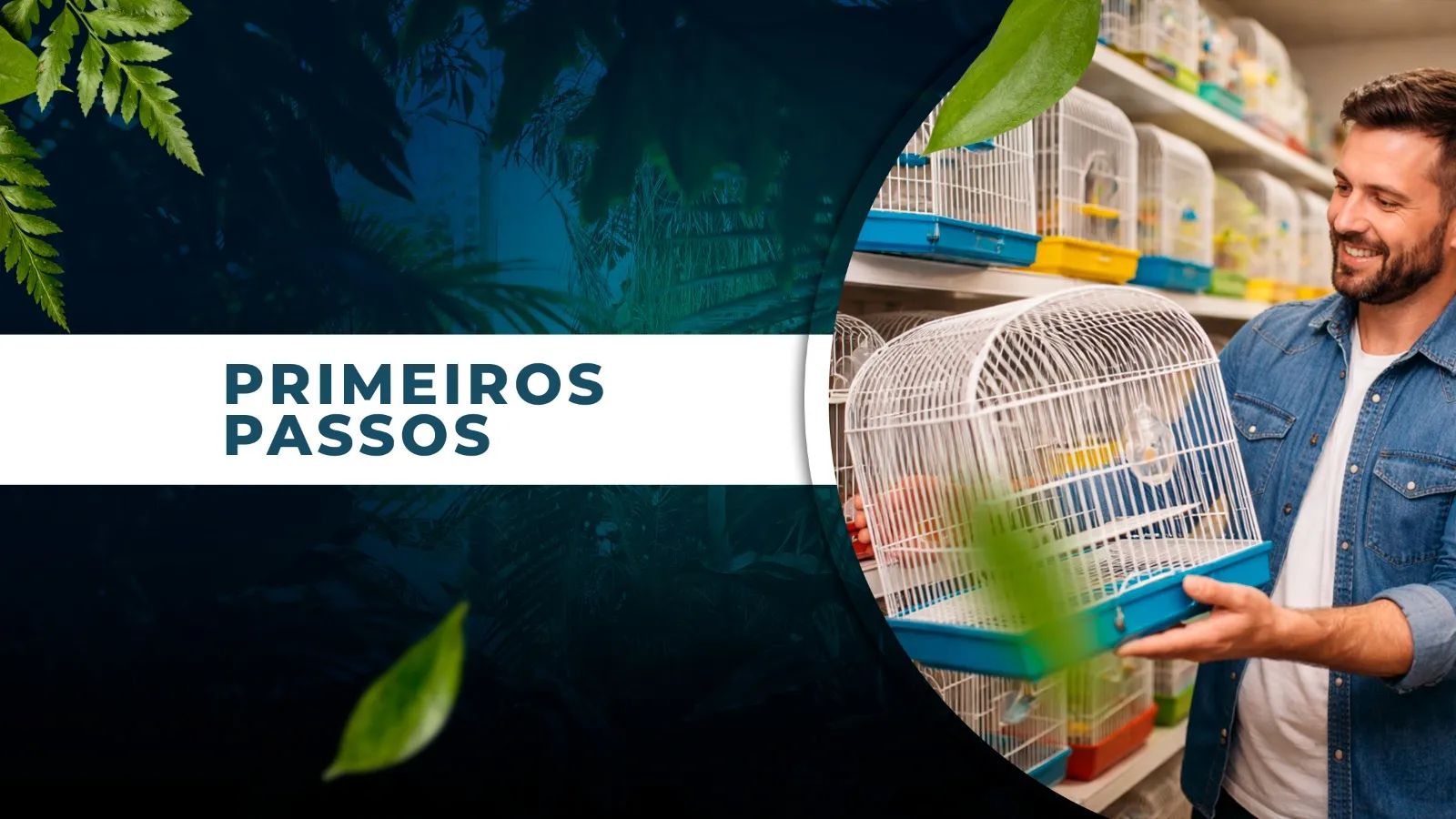 PRIMEIROS PASSOS