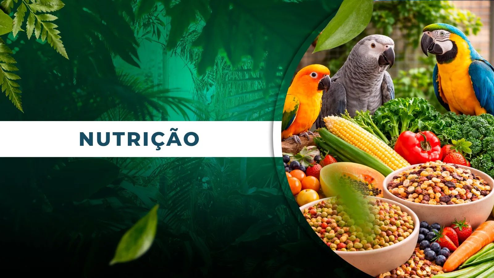 NUTRIÇÃO