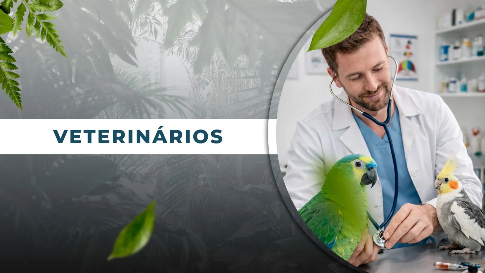SAÚDE & MEDICINA VETERINÁRIA